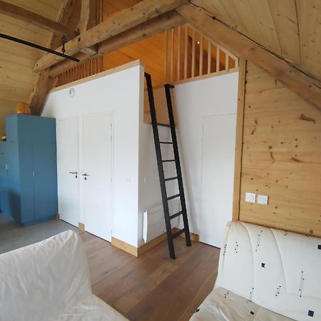 Logement Entre Lac Et Montagne アヌシー エクステリア 写真